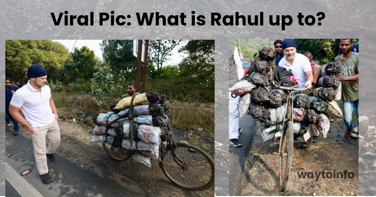 Viral Pic: What is Rahul up to?