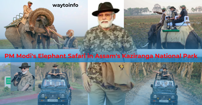 PM Modi's Elephant Safari in Assam's Kaziranga National Park